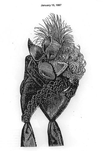 Here is the drawing from Harpers Bazar that was the inspiration for the velvet-covered bonnet.